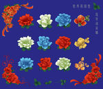 牡丹花开