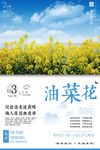油菜花节海报