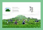 茗云顶茶景区