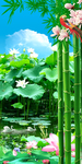 荷花风景玄关