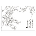 玉兰