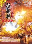胡杨林海报