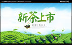 新茶上市