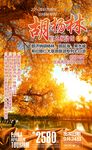 胡杨林海报