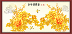 牡丹花