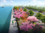 道路景观 道路绿化 公路绿化