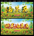 油菜花
