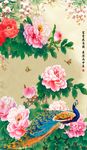 富贵孔雀图
