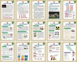 应急管理知识宣传展板