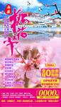 西藏桃花节