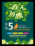 春天的约会