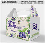 清新简约蓝莓包装礼盒设计