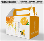 时尚橙汁包装礼盒设计