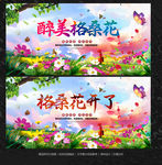 格桑花