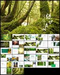 森林植树造林林业木材园ppt