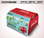 高档简约樱桃包装礼盒箱子设计