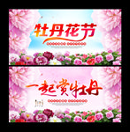 牡丹花