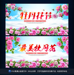 牡丹花