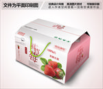 新鲜草莓包装箱设计
