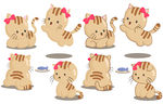 猫