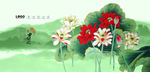 荷花