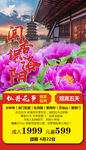 洛阳牡丹 少林寺 龙门石窟
