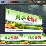 采摘