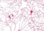 红颜荷花子-手描画