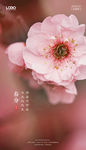 春分