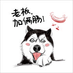 恶搞二哈印刷图