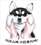 恶搞二哈印刷图