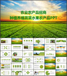 农业农产品招商宣传PPT