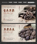 草果