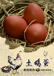 鸡蛋