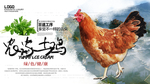 土鸡