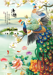 孔雀图