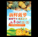 新鲜菠萝