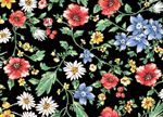 服装花型（分好色文件）