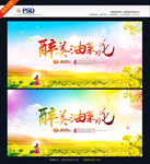 油菜花