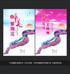 紫荆花