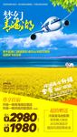 爱上青海湖