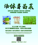 活体芽苗菜海报