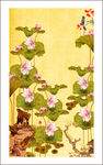 国画荷花