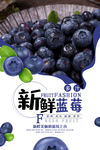 蓝莓海报