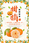 柑橘海报