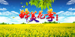 醉美花季