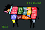 牛肉分割图