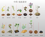 中药 素材