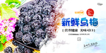 乌梅