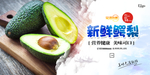 鳄梨